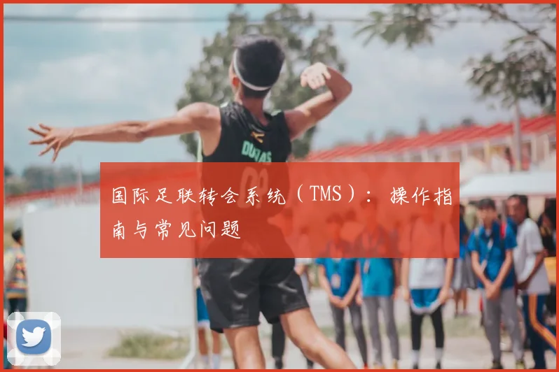 国际足联转会系统（TMS）：操作指南与常见问题