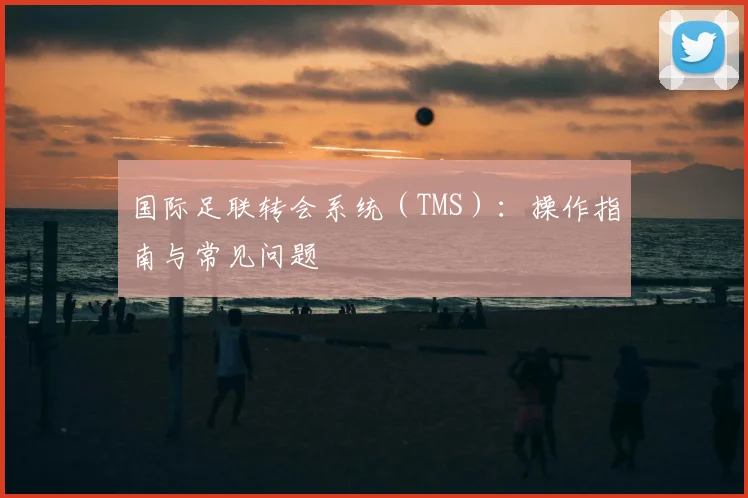国际足联转会系统（TMS）：操作指南与常见问题